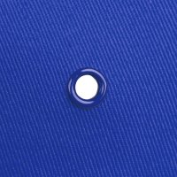  Bizbolka Capture, -