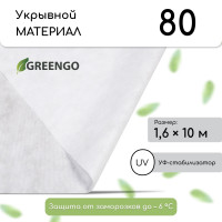  , 10 1.6 ,  80 / ,   -, , Greengo,  30%