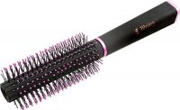  R 9511 Picta     (12/120)