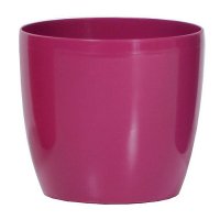    Prosperplast Coubi Round 0,5, 