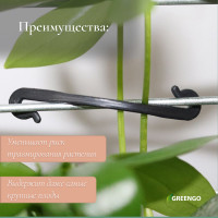 , 6 , , , Greengo