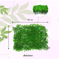 , 60 40 ,  , Greengo