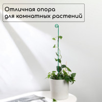    , H=60 , D=3  , , , Greengo