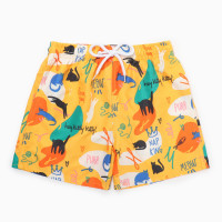    Minaku "King"  158-164 