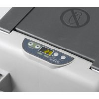   Indel B Tb41a    