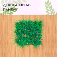  , 25 25 ,  , Greengo
