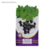 - , Greenfield black Currant,  