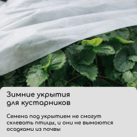  , 10 1.6 ,  80 / ,   -, , Greengo,  30%
