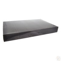  Brignani Anphoras Steel