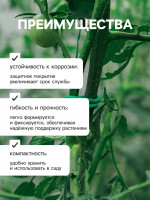  , 5 , D=3 , , Greengo