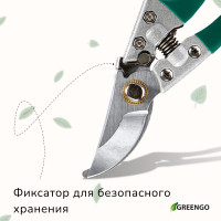  , 8 (20 ),  , Greengo