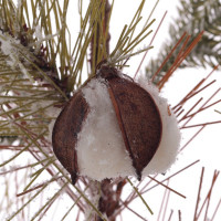 ������� ������������ ����, L35 W35 H80 ��