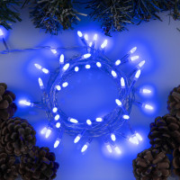   5    , Ip20,  , 50 Led,  , 8 , 220 
