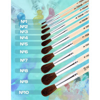   ,    2 (  2 ;   12 ),  , Calligrata