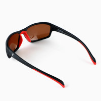 ���� ��������������� �������� Tsunami � �������, ����� Brown