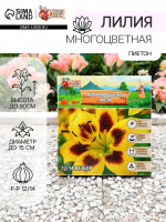 ����� ������������ ��������, �������� � ������ � �����������, �-� 12/14, 3 ��.