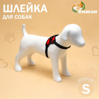  7  ,  S,  44-55 ,  5-9 , 