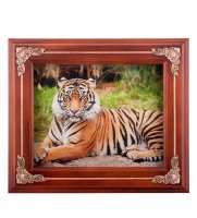 �������� ����