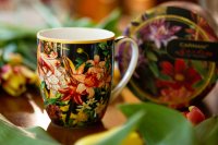   6  Carmani   400 ,  ,      6 