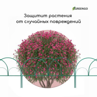  , 50 425 , 5 , , , , Greengo