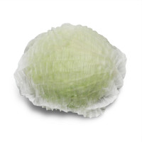   ,  ,  12 / , , 50 ., Greengo