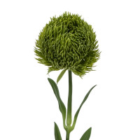 ������ ������������� �������, L8 W8 H50,5 ��, 2�.