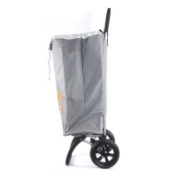 - Joy Home Ginger,  /