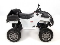  Grizzly Next  Barty 009 44 ( )