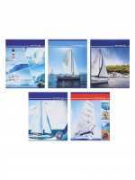  36   , Calligrata ,  , 