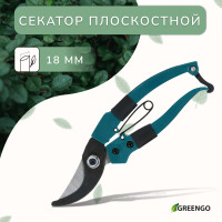  , 7 (18 ),   , Greengo