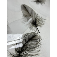    Joy Home, 200,8 ,  0,6 