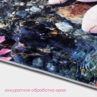        , 2 , 79x50, 50x39 