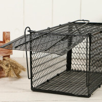 , 27 X 14 X 14 , , Greengo