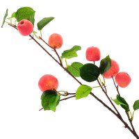 ����� ������������� ������, L24 W10 H75 ��