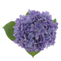 ������ ������������� ���������, L26 W17 H67 ��