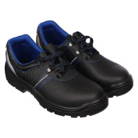    Prosafe Basic 23,  ,  41