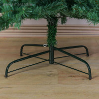    .  , 300 , D   145 , 2800    