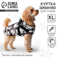      , ,  Xl, 