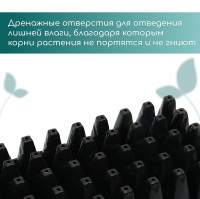   , 50   100 , , , 54 27 8 , Greengo