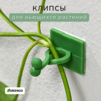    , , D=9 ,  , Greengo