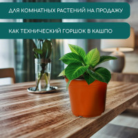 ������ ��� �������, 2.5 �, D=18 ��, H=14.5 ��, ������ �������, ��������, Greengo