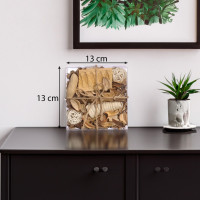         ,  13x13x6 