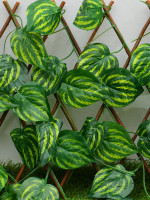  , 120 35 ,  , Greengo