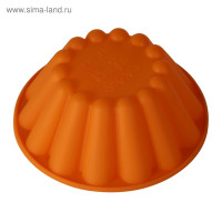      Regent Inox Silicone,  155 