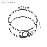  Tescoma Delicia,   , ,    , D=24 