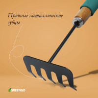  , , 5 ,  29 , ,    , Greengo