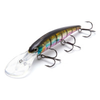  Namazu Billy, L-120 , 18 , , , 6.0-8.0 ,  6