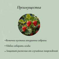   , D=20 , H=25 ,  D=0.3 , , , Greengo