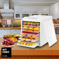      Kitfort Kt-1909, 700 , 9 , 