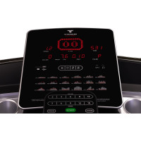    Titanium Masters Physiotech Tlc